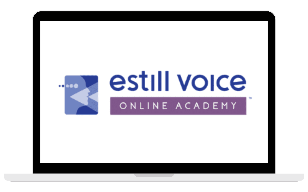 EV Online Academy